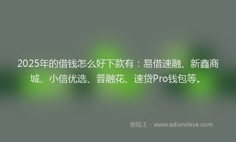 2025年的借钱怎么好下款有：易借速融、新鑫商城、小信优选、普融花、速贷Pro钱包等。