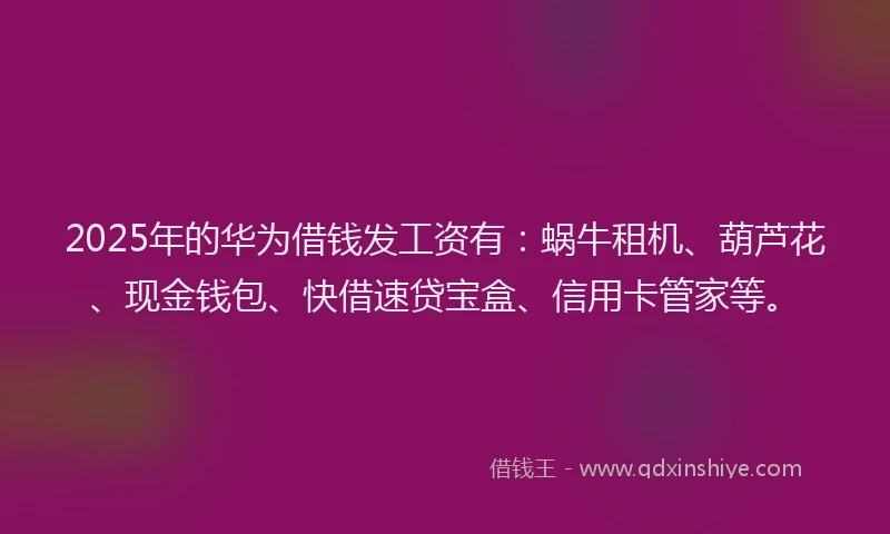 2025年的华为借钱发工资有：蜗牛租机、葫芦花、现金钱包、快借速贷宝盒、信用卡管家等。