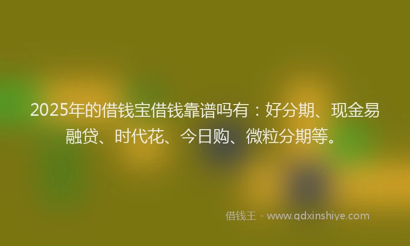 2025年的借钱宝借钱靠谱吗有：好分期、现金易融贷、时代花、今日购、微粒分期等。