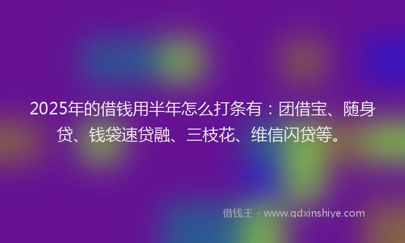 2025年的借钱用半年怎么打条有：团借宝、随身贷、钱袋速贷融、三枝花、维信闪贷等。