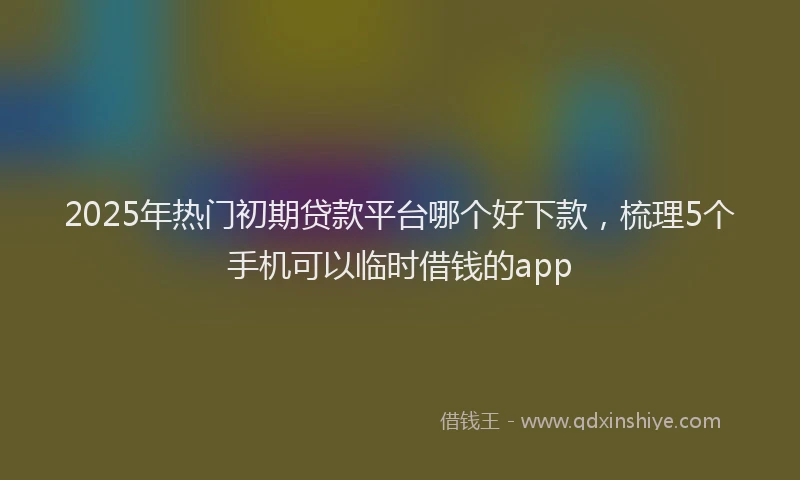 2025年热门初期贷款平台哪个好下款，梳理5个手机可以临时借钱的app