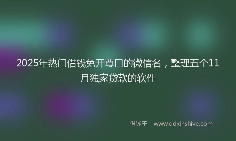 2025年热门借钱免开尊口的微信名，整理五个11月独家贷款的软件