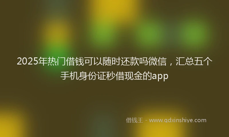 2025年热门借钱可以随时还款吗微信，汇总五个手机身份证秒借现金的app