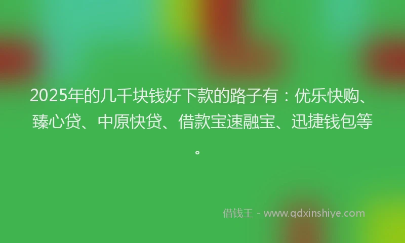 2025年的几千块钱好下款的路子有：优乐快购、臻心贷、中原快贷、借款宝速融宝、迅捷钱包等。