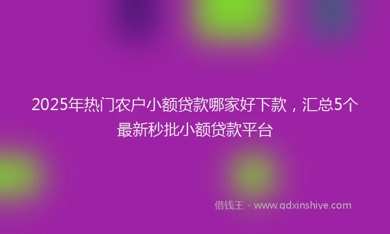 2025年热门农户小额贷款哪家好下款，汇总5个最新秒批小额贷款平台