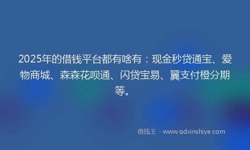 2025年的借钱平台都有啥有：现金秒贷通宝、爱物商城、森森花呗通、闪贷宝易、翼支付橙分期等。