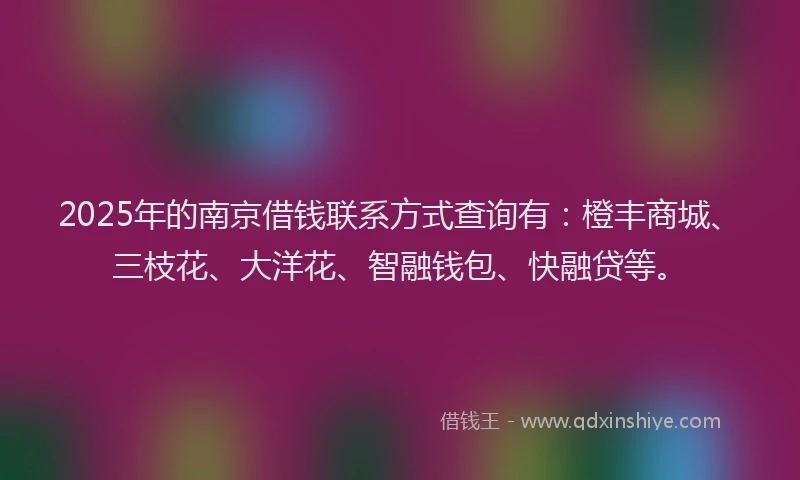 2025年的南京借钱联系方式查询有：橙丰商城、三枝花、大洋花、智融钱包、快融贷等。