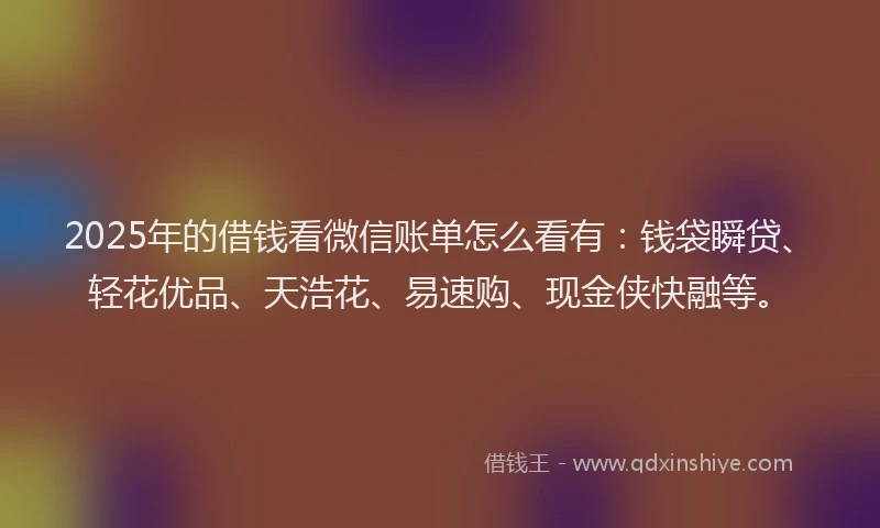 2025年的借钱看微信账单怎么看有：钱袋瞬贷、轻花优品、天浩花、易速购、现金侠快融等。