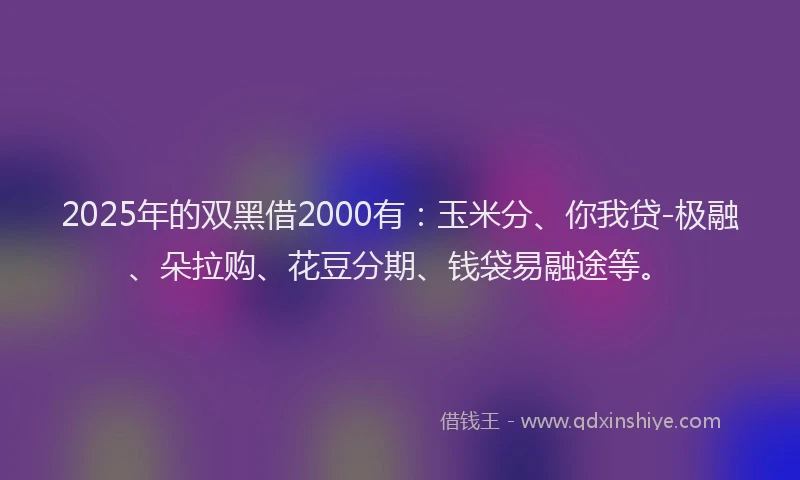 2025年的双黑借2000有：玉米分、你我贷-极融、朵拉购、花豆分期、钱袋易融途等。