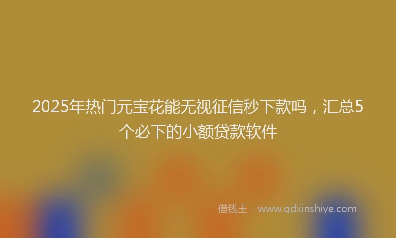 2025年热门元宝花能无视征信秒下款吗，汇总5个必下的小额贷款软件