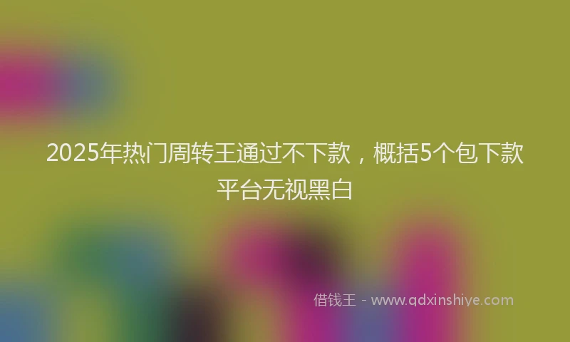 2025年热门周转王通过不下款，概括5个包下款平台无视黑白