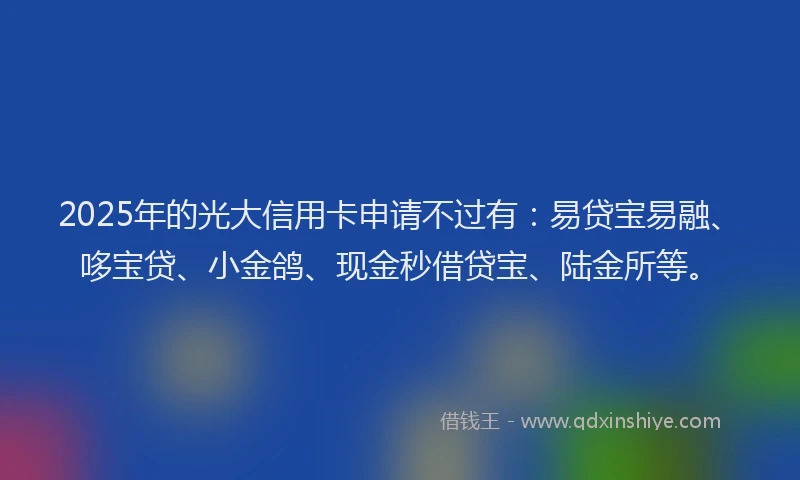 2025年的光大信用卡申请不过有：易贷宝易融、哆宝贷、小金鸽、现金秒借贷宝、陆金所等。