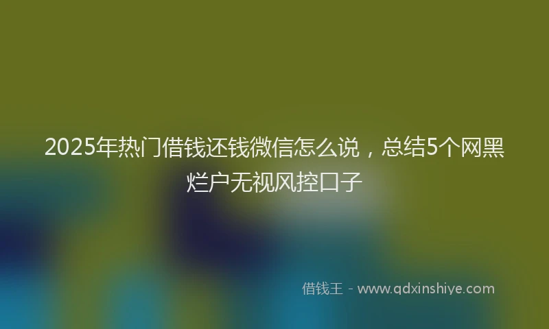 2025年热门借钱还钱微信怎么说，总结5个网黑烂户无视风控口子