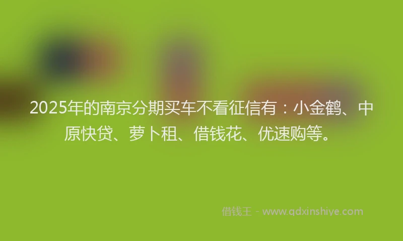 2025年的南京分期买车不看征信有：小金鹤、中原快贷、萝卜租、借钱花、优速购等。