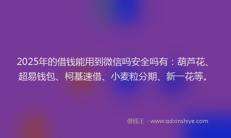 2025年的借钱能用到微信吗安全吗有：葫芦花、超易钱包、柯基速借、小麦粒分期、新一花等。