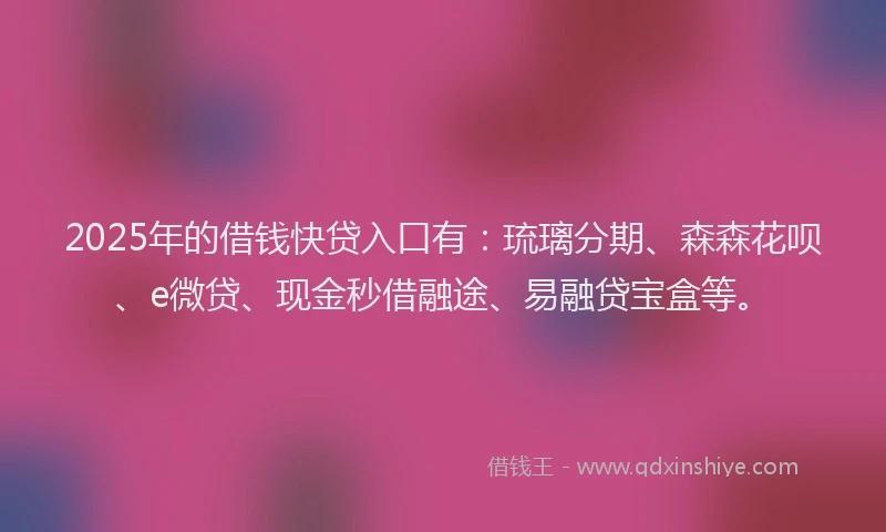 2025年的借钱快贷入口有：琉璃分期、森森花呗、e微贷、现金秒借融途、易融贷宝盒等。
