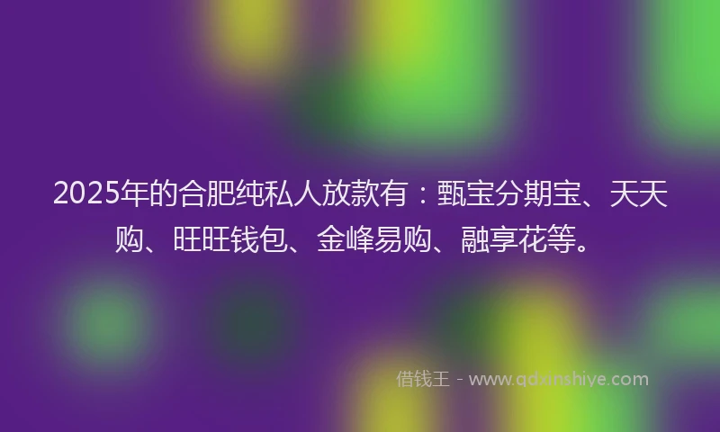 2025年的合肥纯私人放款有：甄宝分期宝、天天购、旺旺钱包、金峰易购、融享花等。