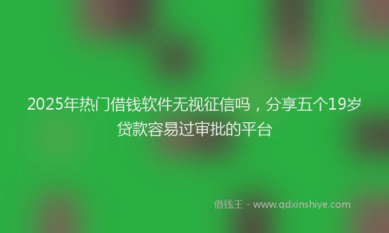 2025年热门借钱软件无视征信吗，分享五个19岁贷款容易过审批的平台