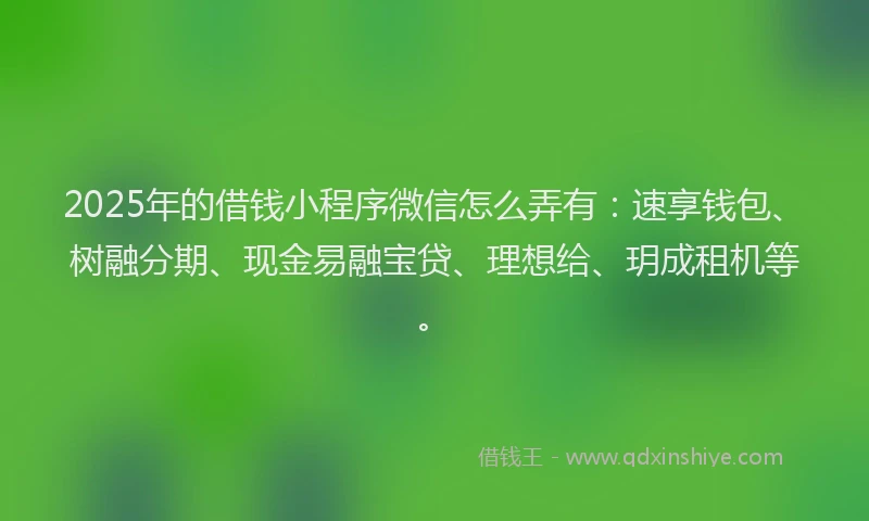 2025年的借钱小程序微信怎么弄有：速享钱包、树融分期、现金易融宝贷、理想给、玥成租机等。