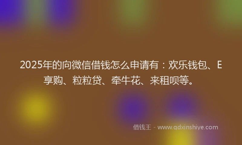 2025年的向微信借钱怎么申请有：欢乐钱包、E享购、粒粒贷、牵牛花、来租呗等。