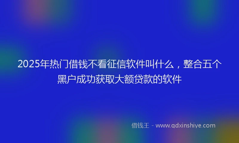 2025年热门借钱不看征信软件叫什么，整合五个黑户成功获取大额贷款的软件