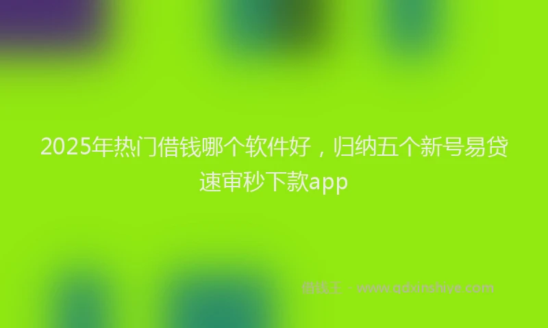 2025年热门借钱哪个软件好，归纳五个新号易贷速审秒下款app