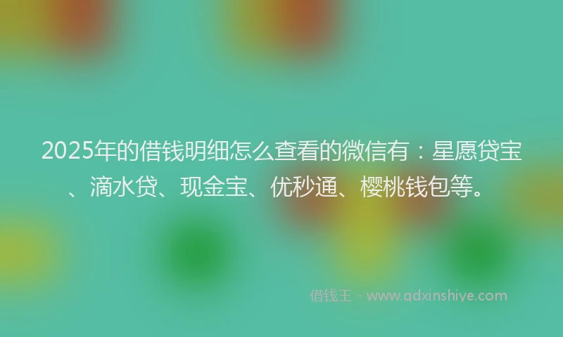 2025年的借钱明细怎么查看的微信有：星愿贷宝、滴水贷、现金宝、优秒通、樱桃钱包等。