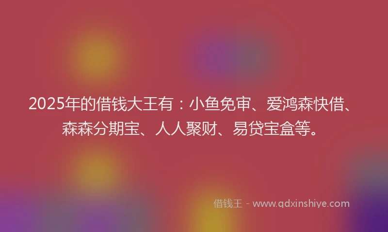 2025年的借钱大王有：小鱼免审、爱鸿森快借、森森分期宝、人人聚财、易贷宝盒等。