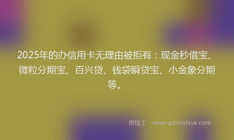 2025年的办信用卡无理由被拒有：现金秒借宝、微粒分期宝、百兴贷、钱袋瞬贷宝、小金象分期等。