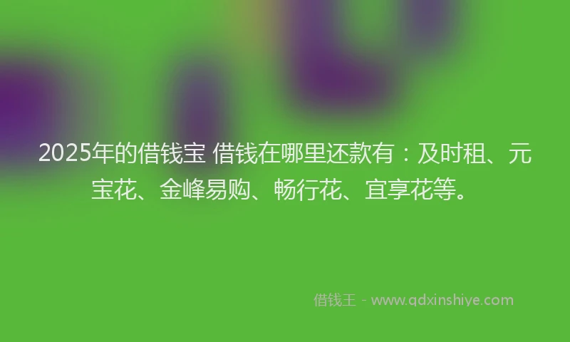 2025年的借钱宝 借钱在哪里还款有：及时租、元宝花、金峰易购、畅行花、宜享花等。