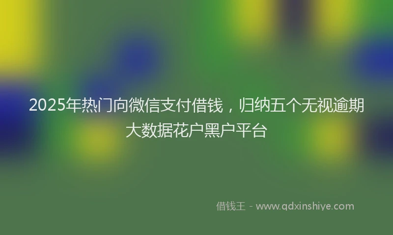 2025年热门向微信支付借钱，归纳五个无视逾期大数据花户黑户平台
