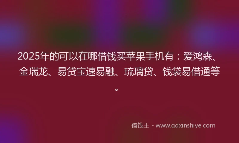 2025年的可以在哪借钱买苹果手机有：爱鸿森、金瑞龙、易贷宝速易融、琉璃贷、钱袋易借通等。