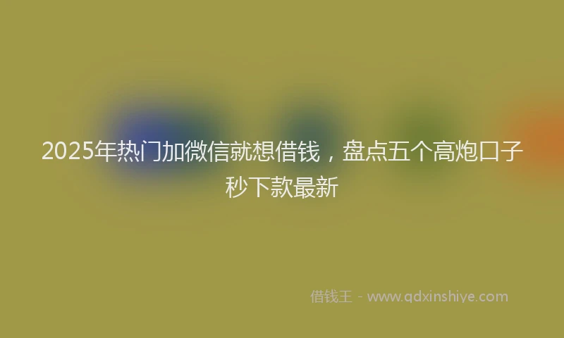 2025年热门加微信就想借钱，盘点五个高炮口子秒下款最新