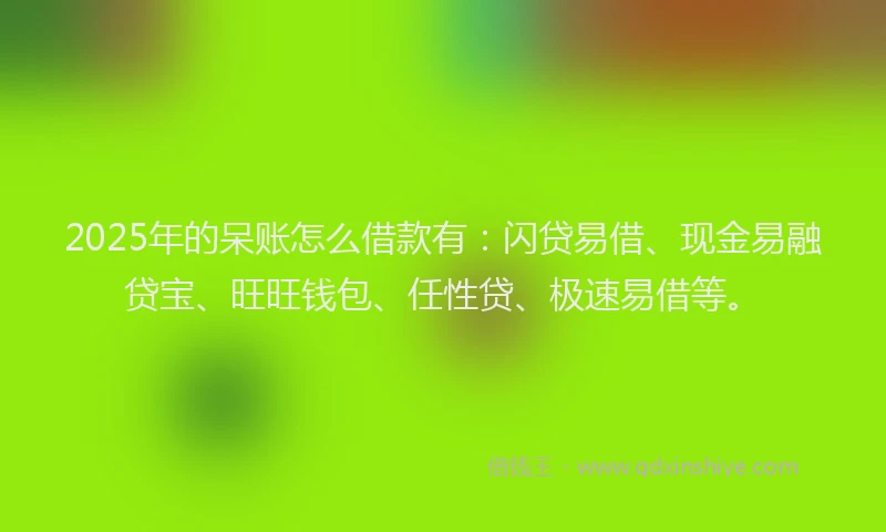 2025年的呆账怎么借款有：闪贷易借、现金易融贷宝、旺旺钱包、任性贷、极速易借等。