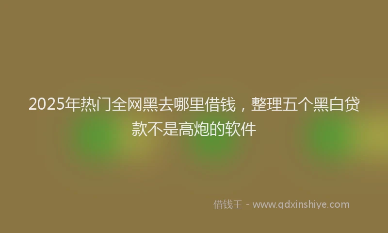 2025年热门全网黑去哪里借钱，整理五个黑白贷款不是高炮的软件