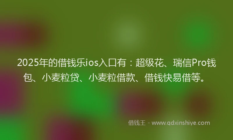 2025年的借钱乐ios入口有：超级花、瑞信Pro钱包、小麦粒贷、小麦粒借款、借钱快易借等。