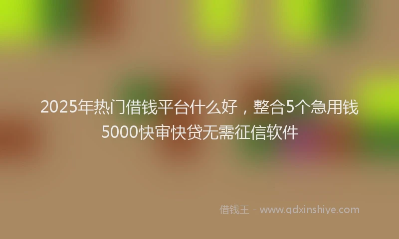 2025年热门借钱平台什么好，整合5个急用钱5000快审快贷无需征信软件
