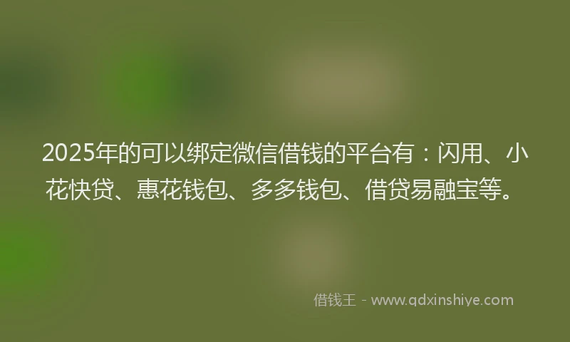 2025年的可以绑定微信借钱的平台有：闪用、小花快贷、惠花钱包、多多钱包、借贷易融宝等。