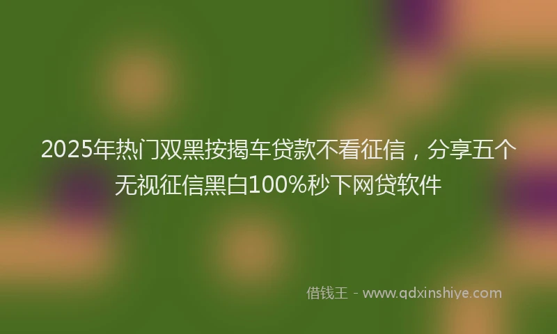 2025年热门双黑按揭车贷款不看征信，分享五个无视征信黑白100%秒下网贷软件