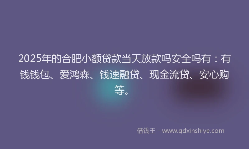 2025年的合肥小额贷款当天放款吗安全吗有：有钱钱包、爱鸿森、钱速融贷、现金流贷、安心购等。