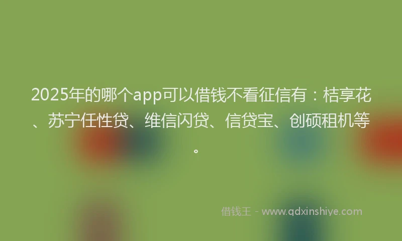 2025年的哪个app可以借钱不看征信有：桔享花、苏宁任性贷、维信闪贷、信贷宝、创硕租机等。