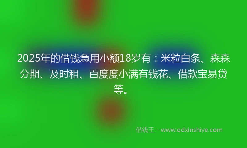 2025年的借钱急用小额18岁有：米粒白条、森森分期、及时租、百度度小满有钱花、借款宝易贷等。
