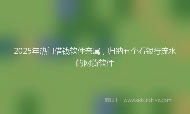 2025年热门借钱软件亲属，归纳五个看银行流水的网贷软件