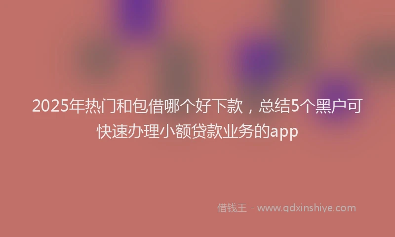 2025年热门和包借哪个好下款，总结5个黑户可快速办理小额贷款业务的app