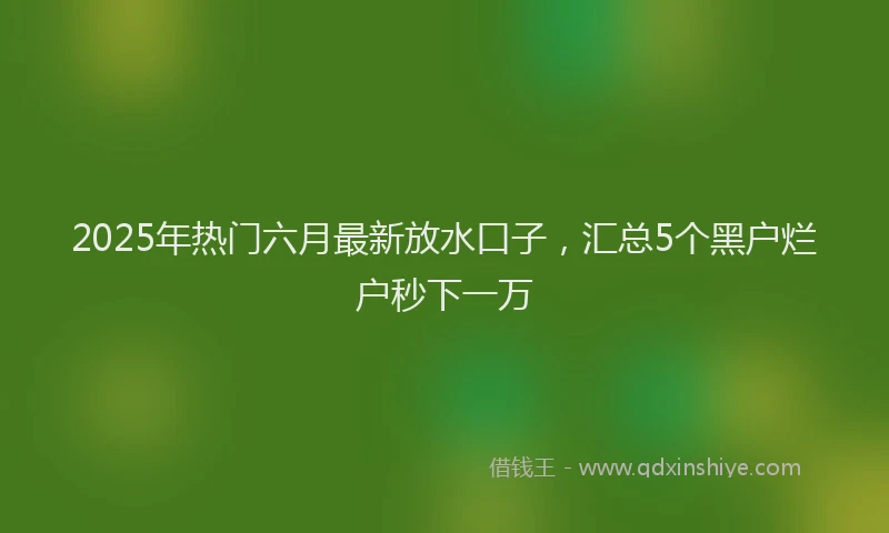 2025年热门六月最新放水口子，汇总5个黑户烂户秒下一万