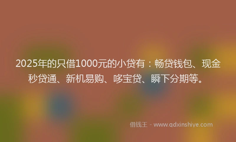 2025年的只借1000元的小贷有：畅贷钱包、现金秒贷通、新机易购、哆宝贷、瞬下分期等。