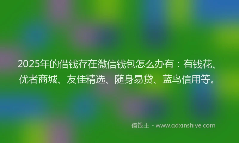 2025年的借钱存在微信钱包怎么办有：有钱花、优者商城、友佳精选、随身易贷、蓝鸟信用等。
