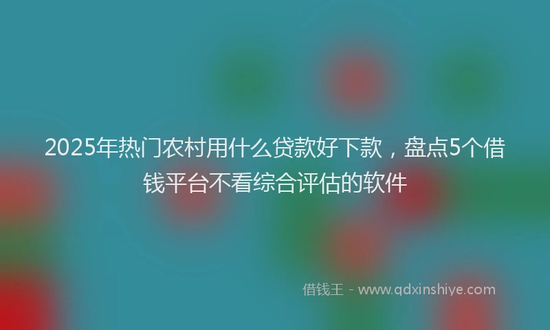 2025年热门农村用什么贷款好下款，盘点5个借钱平台不看综合评估的软件