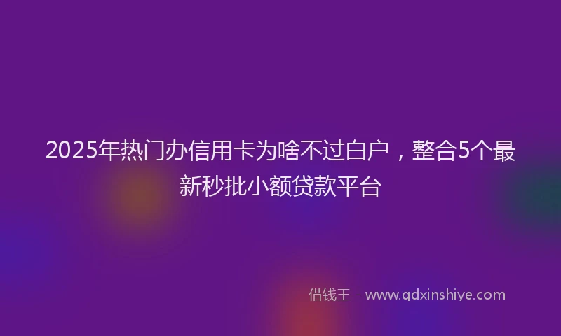 2025年热门办信用卡为啥不过白户，整合5个最新秒批小额贷款平台