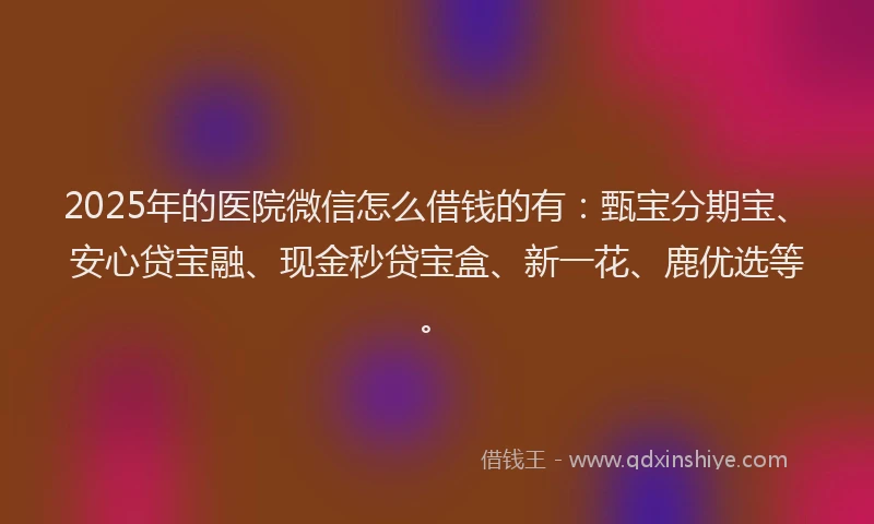 2025年的医院微信怎么借钱的有:甄宝分期宝、安心贷宝融、现金秒贷宝盒、新一花、鹿优选等。